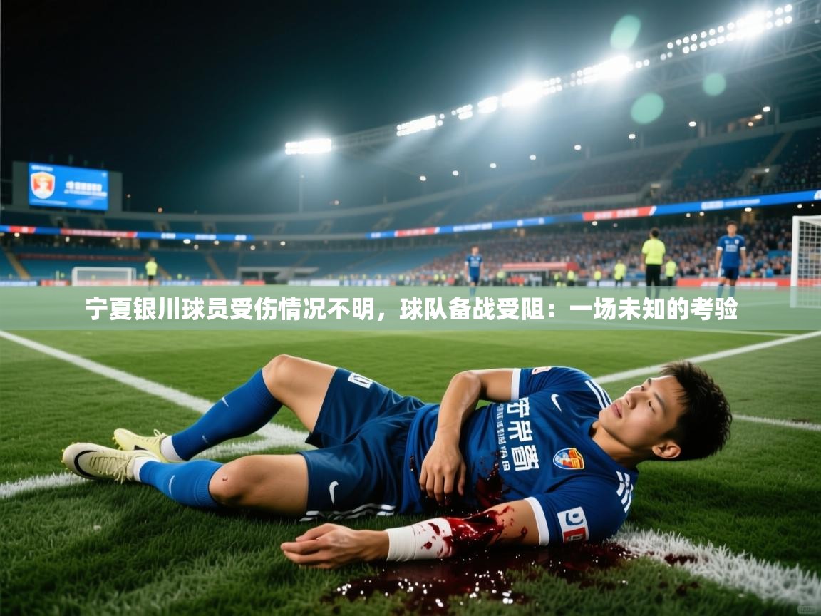 宁夏银川球员受伤情况不明,球队备战受阻:一场未知的考验 第1张